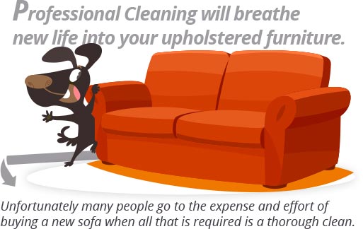 Professional Upholstery Cleaning