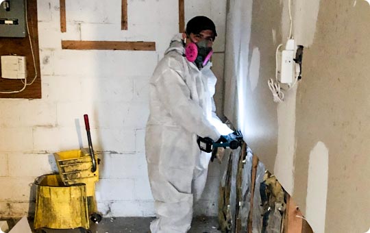 Mold Remediation In St. Charles